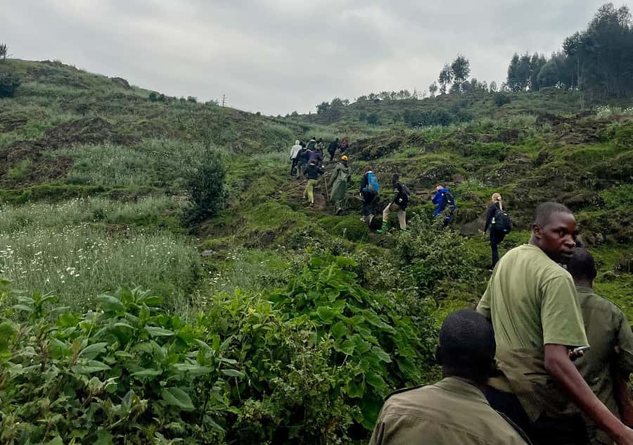 From Kigali: Bisoke Summit Trek, Crater Lake 1 Day Safari - Descent and Getting Back to Kigali Without Panic