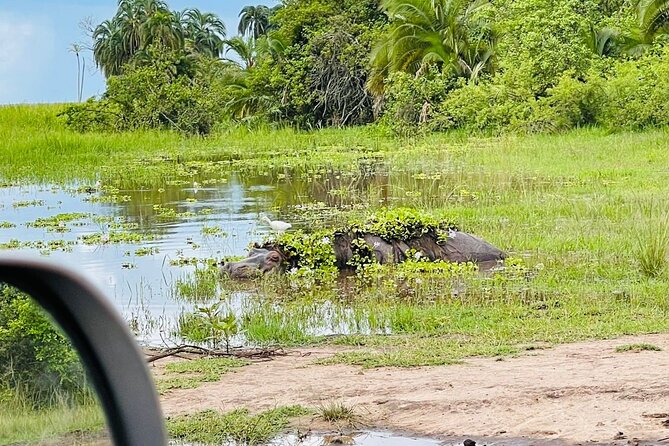 Full Day Akagera National Park Game Drive and Boat Safari - Game drive in Akagera National Park: what to expect in six hours