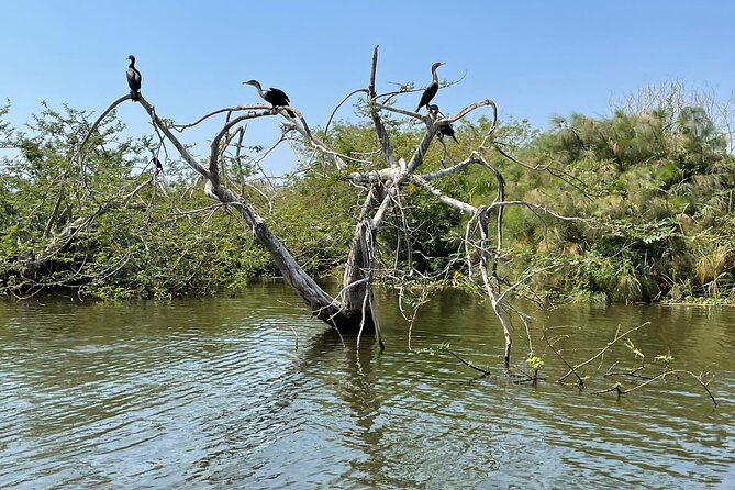 Full Day Akagera National Park Game Drive and Boat Safari - Should you book this Akagera full-day drive and boat safari?