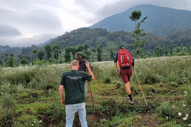 Full day Mt. Bisoke hike - Why the Mt. Bisoke volcano day feels special in practice