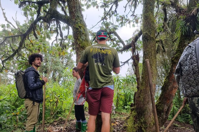 Full day Mt. Bisoke hike - What the day actually feels like on the trail