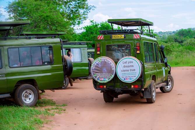 Full-Day Private Safari of Akagera National Park with Lunch - Lunch, coffee, and a long day that does not feel chaotic