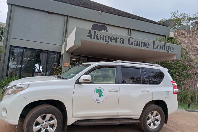 Full-Day Private Safari of Akagera National Park with Lunch - Pickup and the 3-hour drive: how to get the day moving smoothly