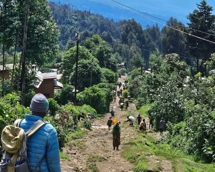 Golden Monkey Trekking with lunch - Golden Monkey Trekking with Lunch: Key Reasons This Day Trip Works