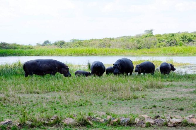 Gorilla trekking &wildlife adventure in Rwanda - Lake Kivu downtime: why a water stop helps your body recover