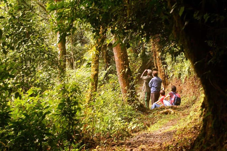 Kigali:1 Day Nyungwe Canopy Walk & Waterfall Tour adventure - The long drive from Kigali, and how to make it easier