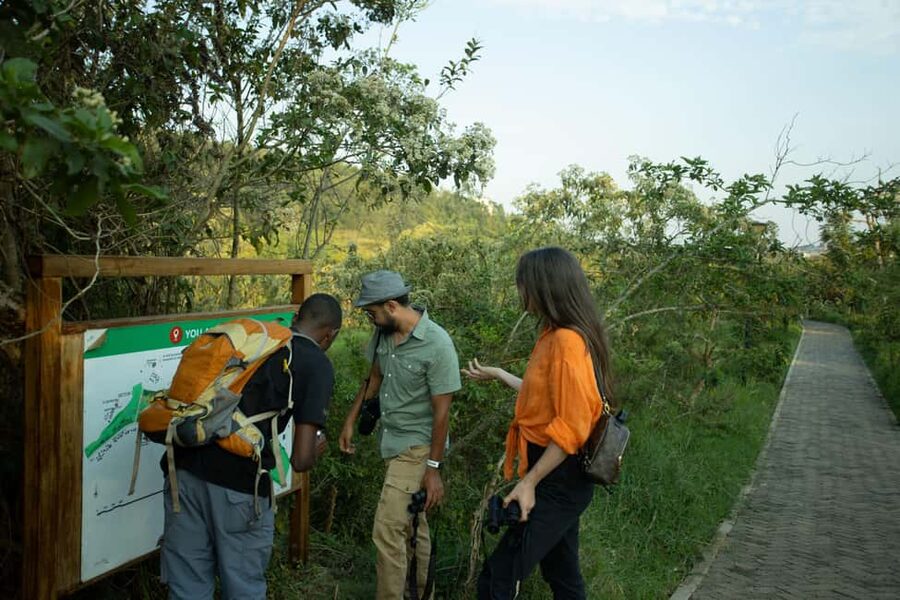 Kigali Eco Park Bird Watching Experience - Nyandungu Eco Park: city-close birding that still feels like nature
