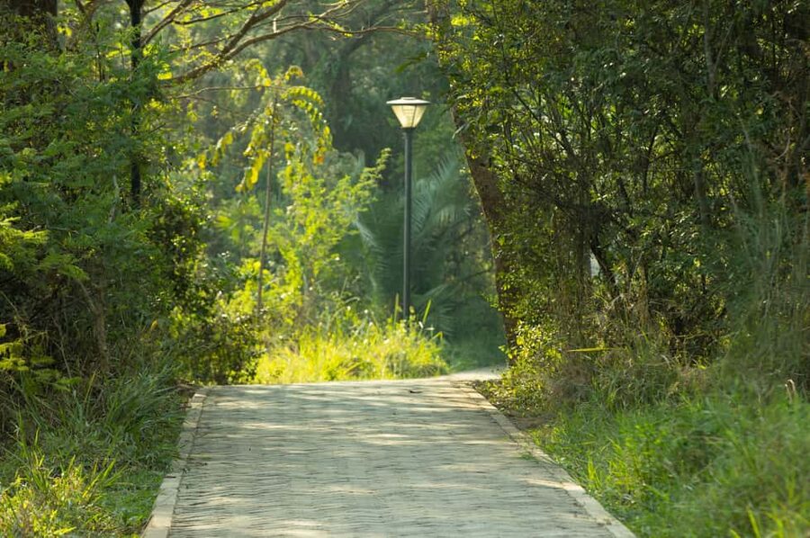 Kigali Eco Park Bird Watching Experience - Who should book this birdwatching session