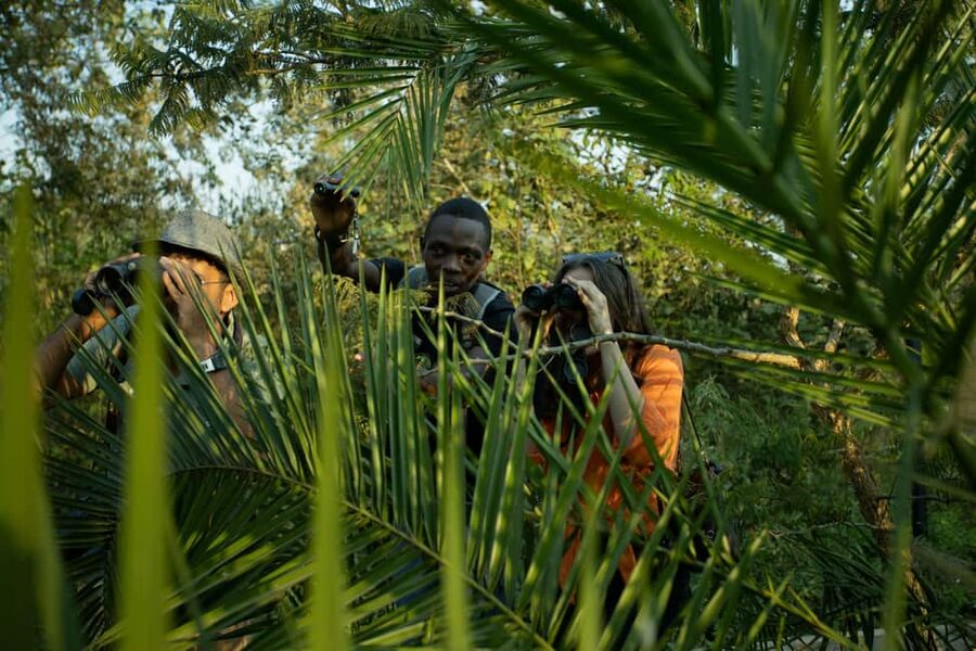Kigali Eco Park Bird Watching Experience - Habitat hopping: forest edges to open savannahs