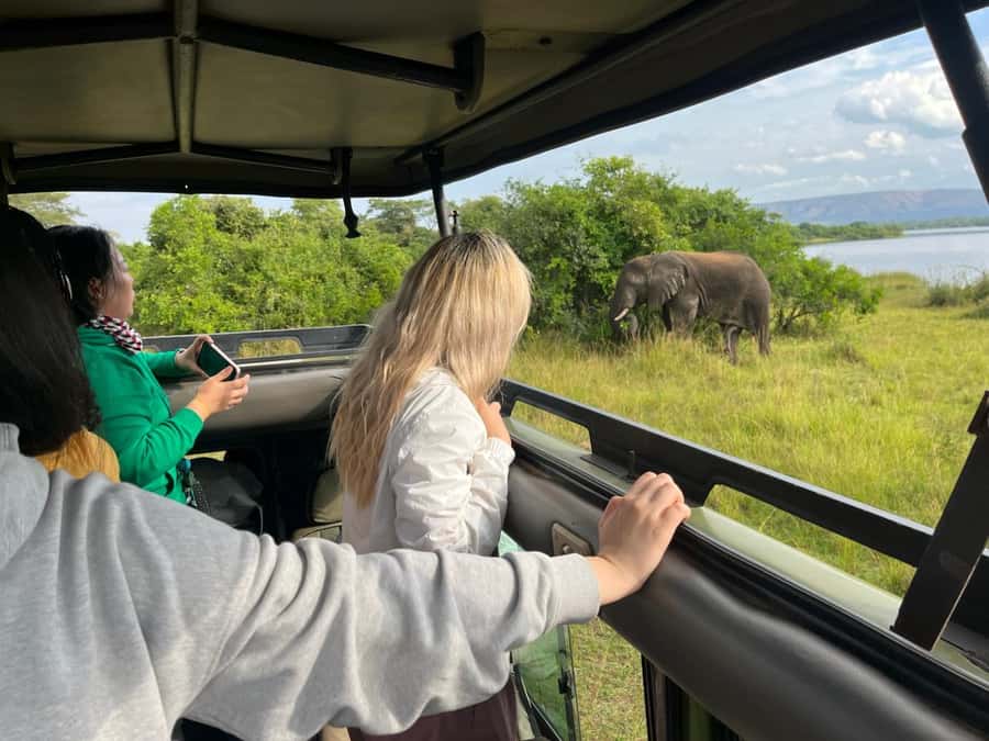 Kigali: Full-Day Akagera Safari + Optional Boat Ride - First 20 minutes in the park: safety, rules, and getting positioned