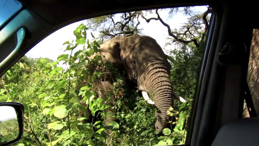 Kigali: Full-Day Akagera Safari + Optional Boat Ride - Price and add-ons: how this adds up in real life