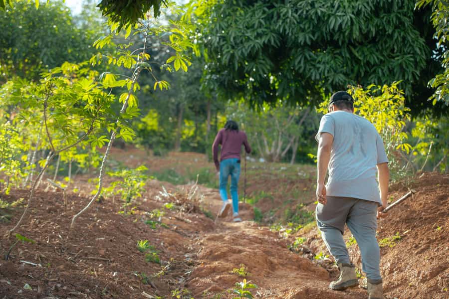 Kigali: Gatsata Village Storytelling Walk to Mount Jali - Price and Value: Is $39 Fair for 3 Hours?