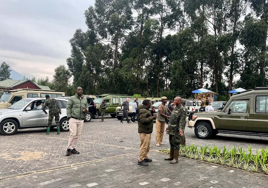 Kigali: Rwanda Gorilla Tracking in Volcanoes National Park - Meeting Mountain Gorillas: The One-Hour Window That Changes Your Perspective