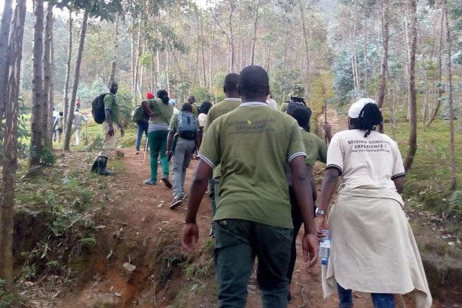 Local hills hiking - Transfers, mobile tickets, and how the day stays simple