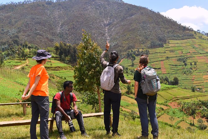 Mount Kabuye Hiking - Key reasons this hike works so well