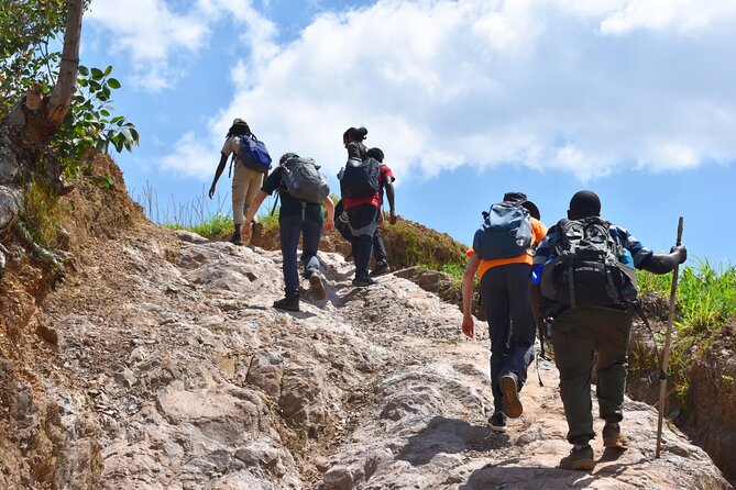 Mount Kabuye Hiking - Price and value: $120 makes sense if you want guidance and stops