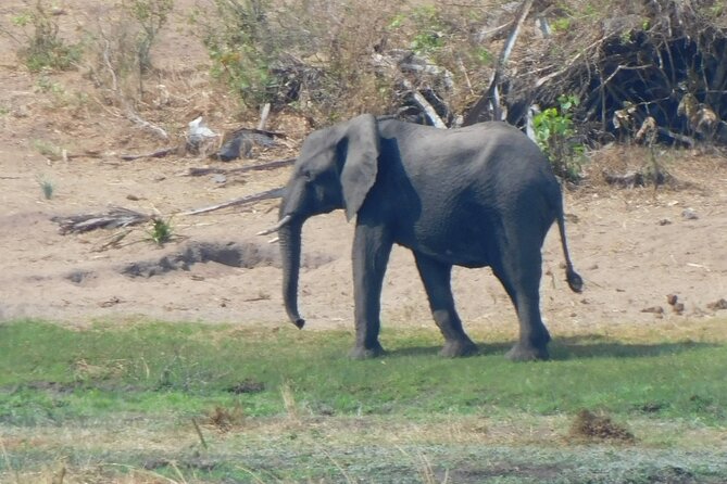 One Day Akagera Safari From Kigali - Lunch by the water and the comfort details you will feel more than you notice