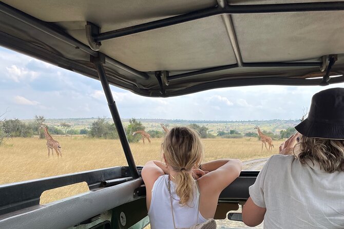 One Day Akagera Wildlife Safari - Park Check-In and Your First Game Drive Window