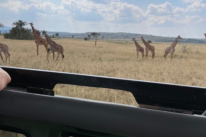One Day Akagera Wildlife Safari - How the Kigali pickup and 4x4 ride shape your whole day