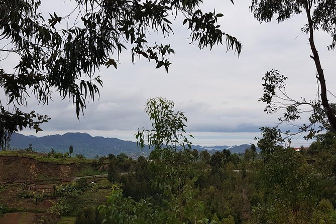 One-day Kivu Lake Adventure - The Kivu boat loop: Napoleon, Monkey, and Peace islands
