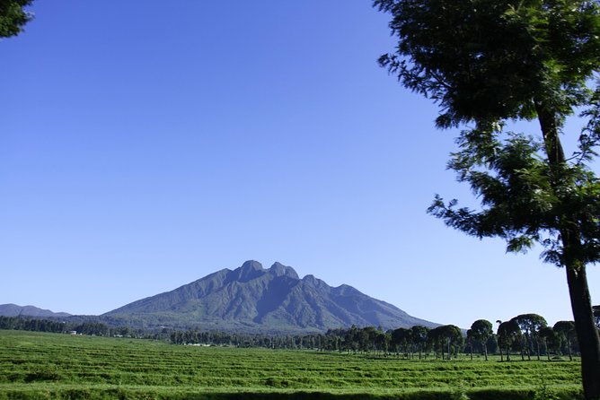 One Day Mount Bisoke Hike Adventure Tour in Volcanoes Park - Summit crater lake views: the reason you are doing the long day