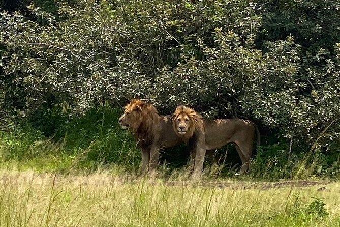 One Day Private Tour to Akagera National Park from Kigali - Market stop in Rwanda, a quick taste of everyday life