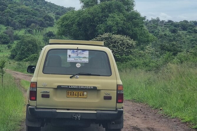 Private 1 Day Akagera Big Five Safari with pick up and lunch. - Price and value: what $440 per person buys you in real terms