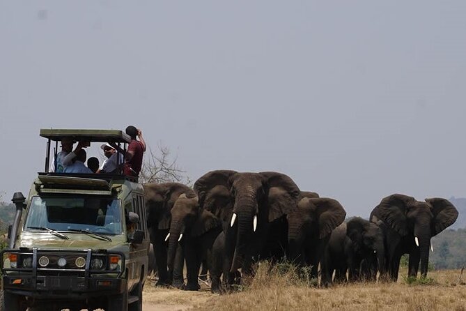 Private Full-Day Tour Akagera Game Drive - Key highlights before you go