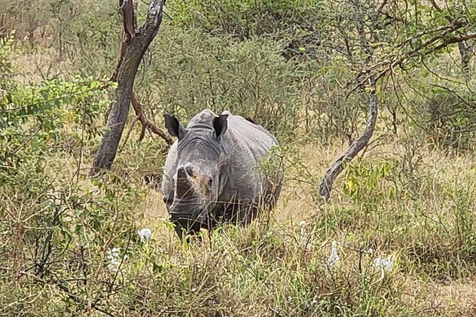Private Full-Day Tour Akagera Game Drive - Inside Akagera: what the 6-hour game drive is really for