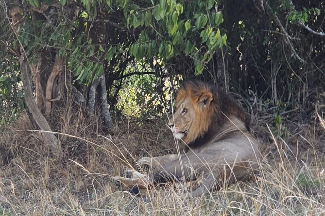 Private Full-Day Tour Akagera Game Drive - Lunch, WiFi, and the comfort stuff that prevents a rough day
