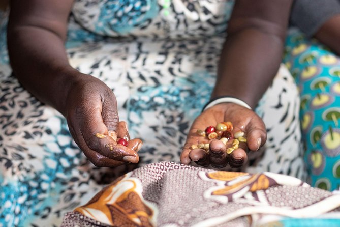 Rwandan Coffee Experience - Local Lunch and Real Questions for Your Hosts