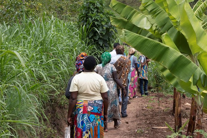 Rwandan Coffee Experience - Price and Value: Why 90 USD Can Make Sense