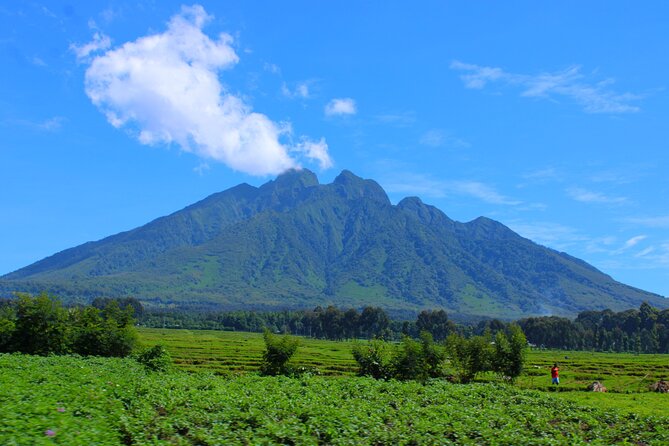 Scenic walk around volcanoes - Lunch With Scenic Views, Paid Separately