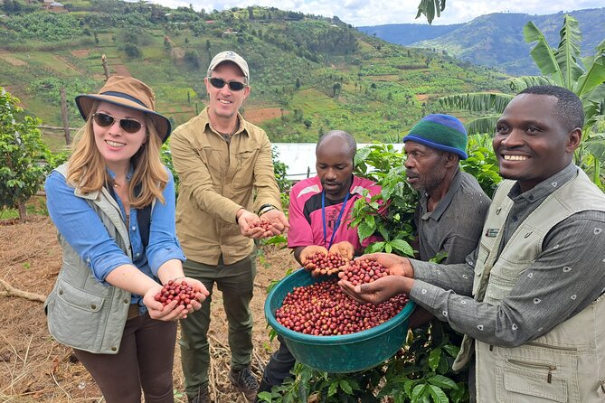 Tea and coffee tours - Key things I’d bookmark before you go