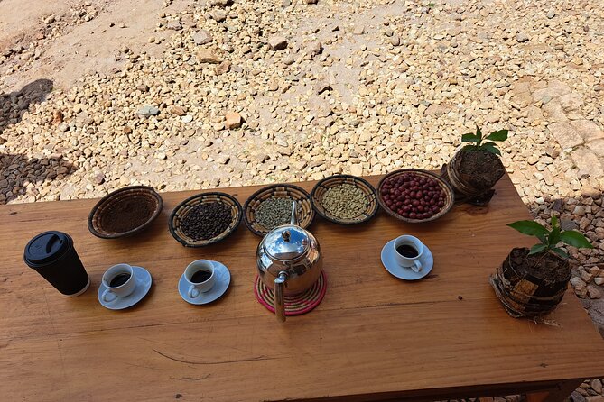 Tea and coffee tours - What makes the guides the star of the show
