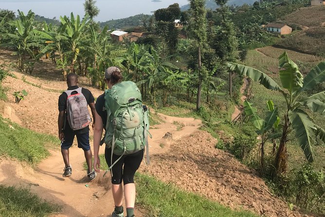 The Congo Nil Trail Hiking (Gisenyi-Kibuye) - The four-day rhythm: hiking, villages, and flora spotting