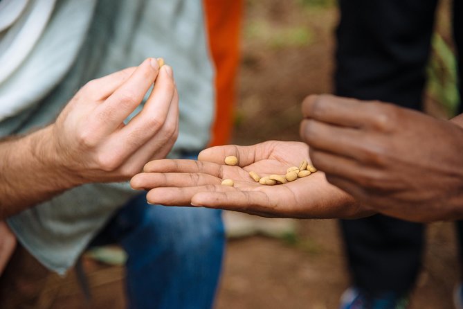 Women-led Coffee Farm Trek - The Women’s Opportunity Center Lunch Stop at Urugo Eco-Lodge